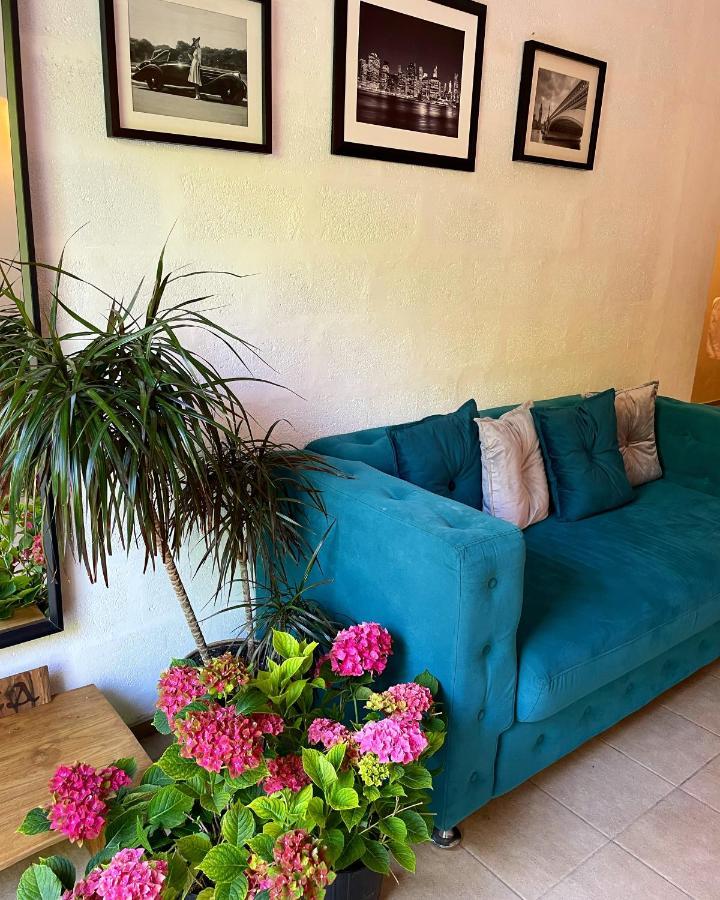 Мини-Отель New Gagra Extérieur photo